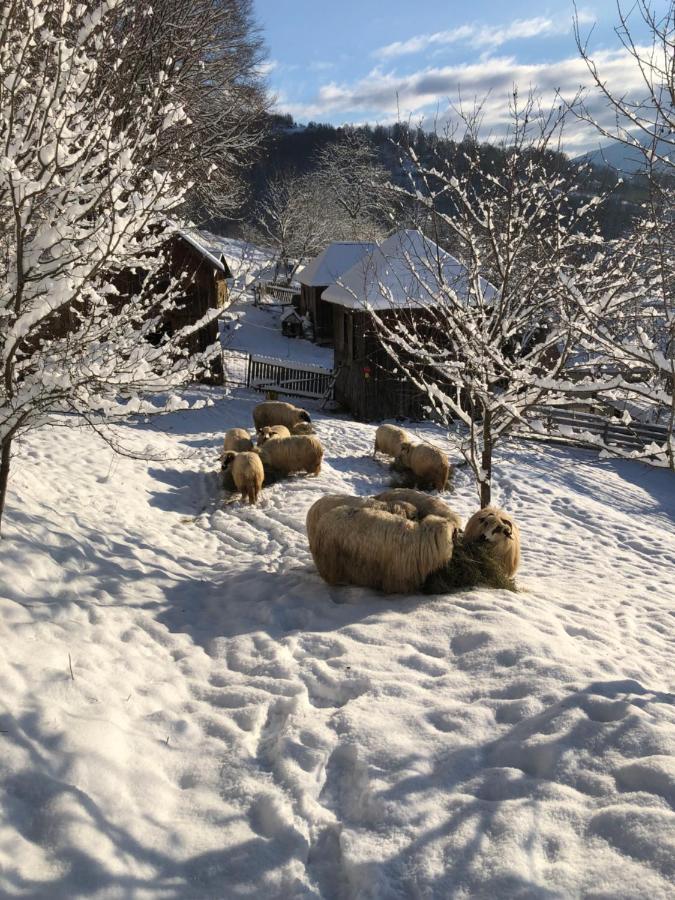 Cabana Hatere Moisei Buitenkant foto